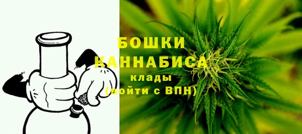 PSILOCYBIN Бородино